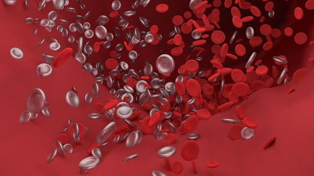 血管の中を流れる白血球、赤血球のイラスト